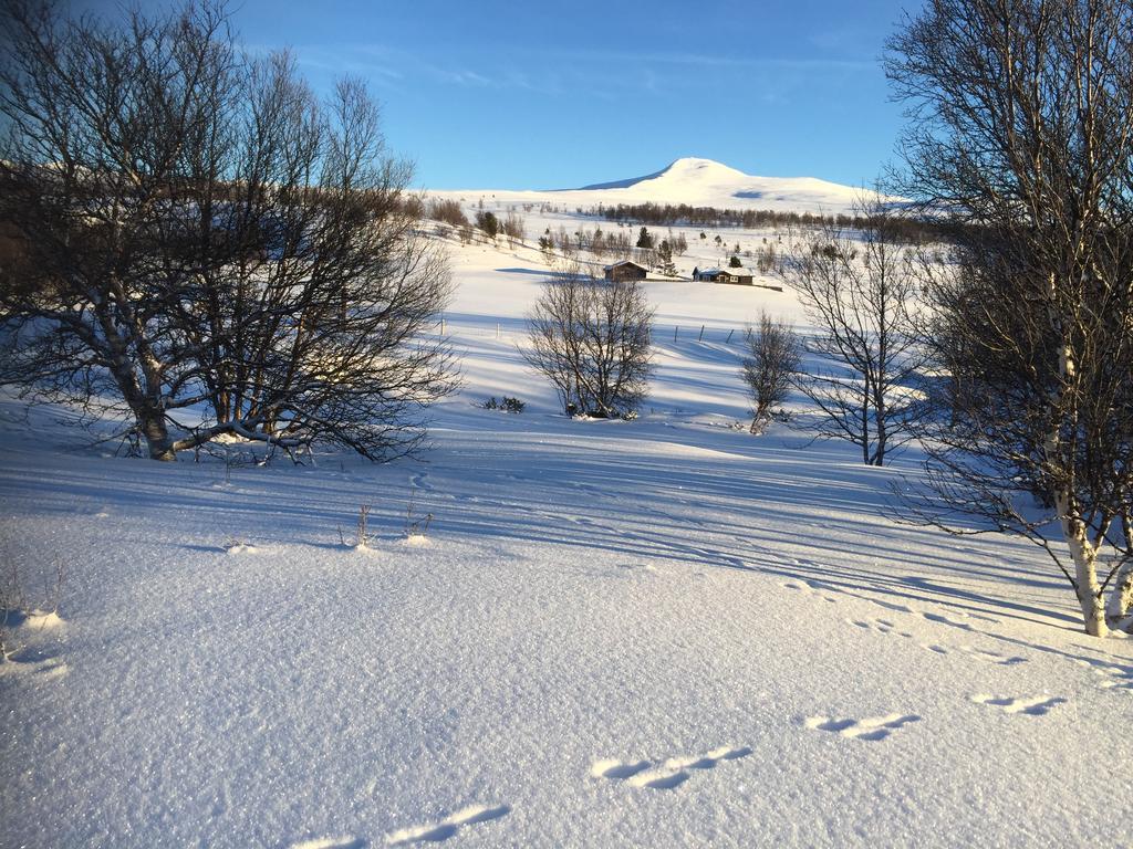 Putten Seter Høvringen Exterior foto